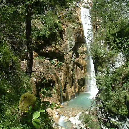 Woid Mandl * فيلدين ام ورثرسي