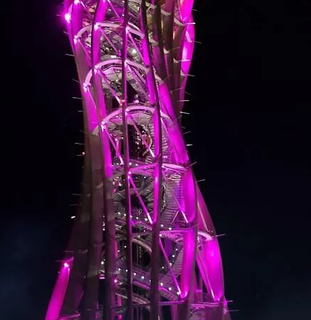 Woid Mandl * فيلدين ام ورثرسي