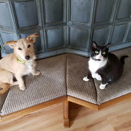 شقة Woid Mandl فيلدين ام ورثرسي