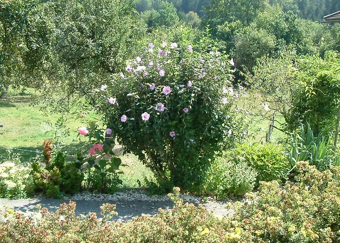 Апартаменты Woid Mandl *