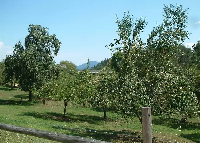 Woid Mandl * Фельден-ам-Вёртер-Зе