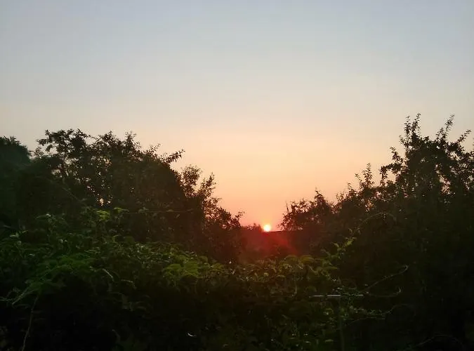 Woid Mandl Apartman *