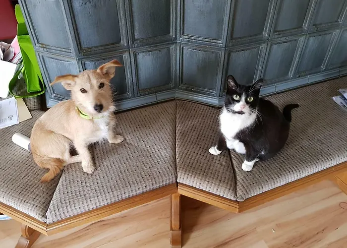 Апартаменты Woid Mandl Фельден-ам-Вёртер-Зе